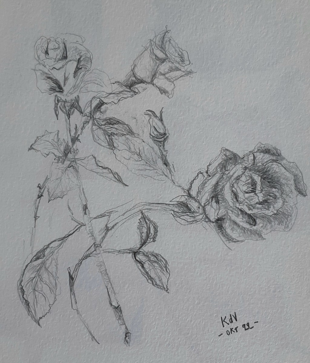 Rose detail study black &&nbsp;white