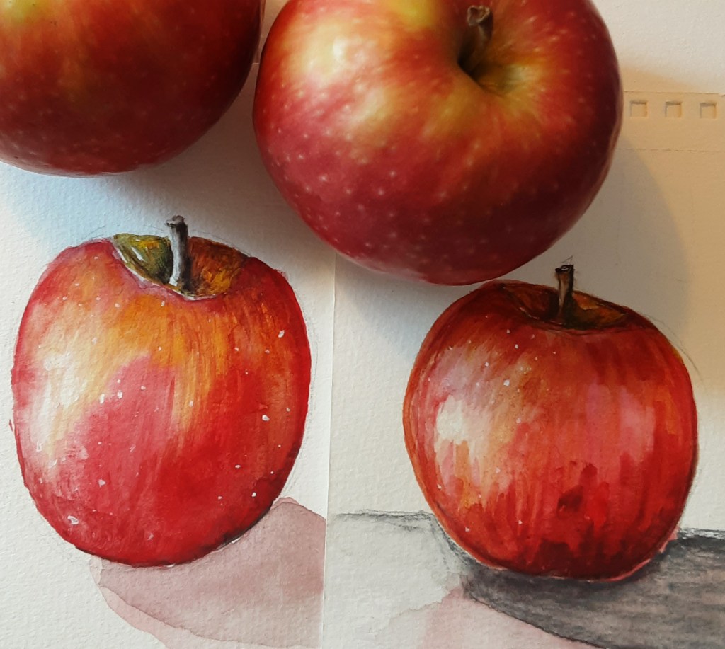Apples: detail study